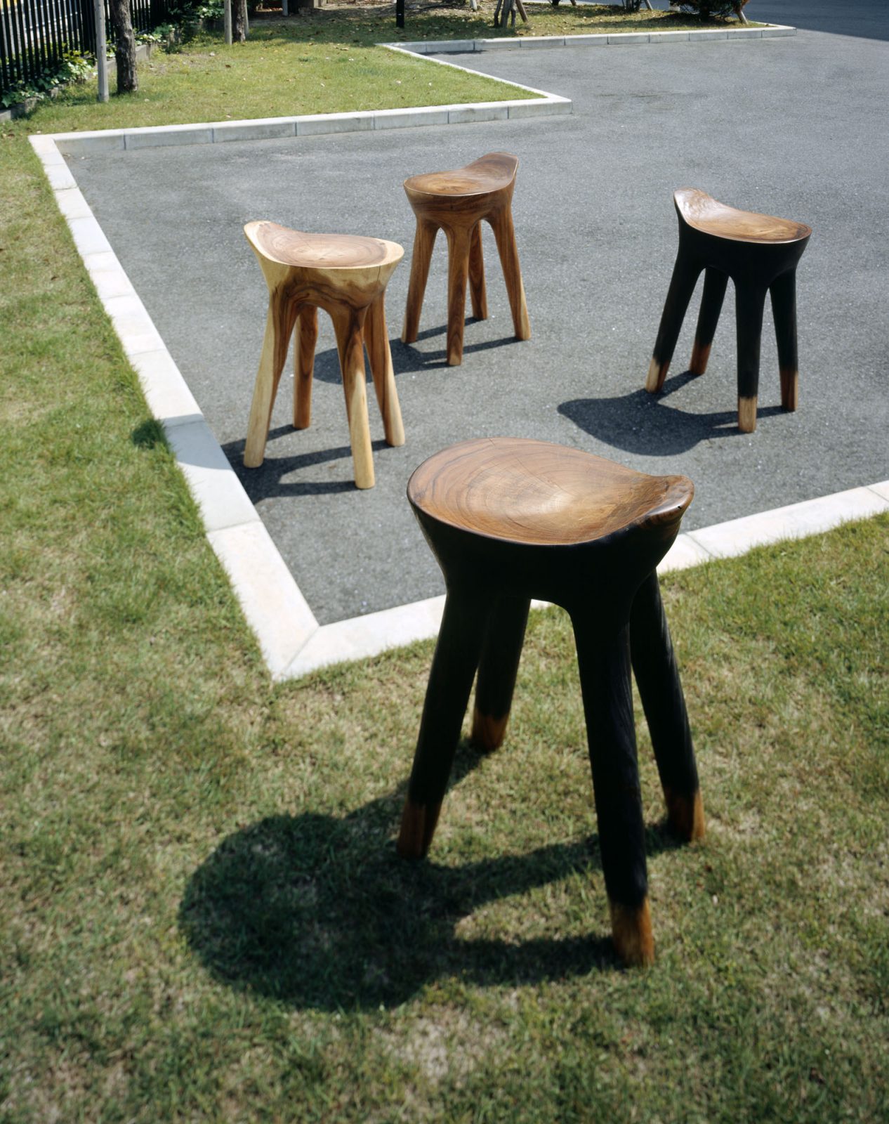 animal. stool